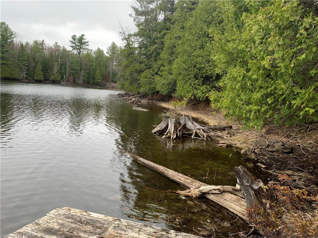 XX2,000, Single Family, 260 ISLAND 26, Trent Lakes, 40098810 HouseSigma